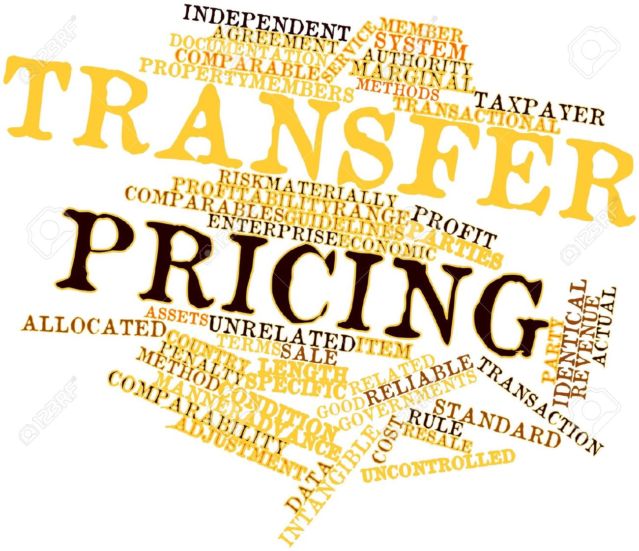 Transfer Pricing in India: A Comprehensive overview with key case studies